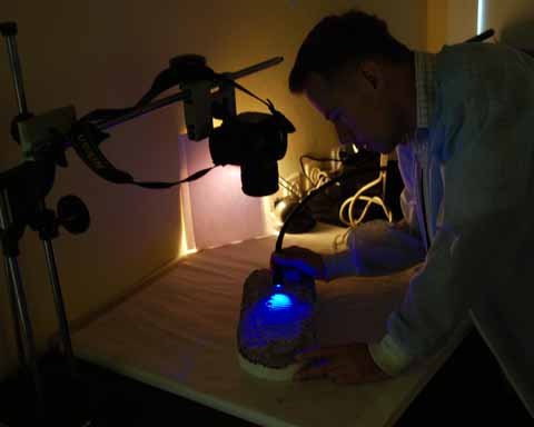 Pracownik podczas wykonywania badań, fotografowanie obiektu z wykorzystaniem światła niebieskiego